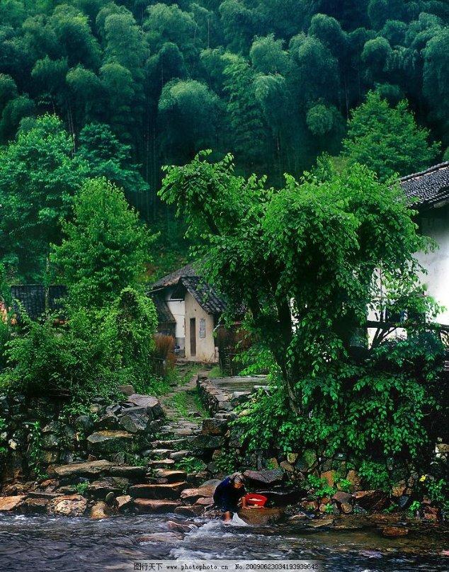 逃离金色蜜蜂森林