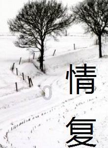 广州南动车运用所夜间检修动车迎春运