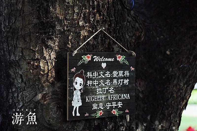 武动乾坤