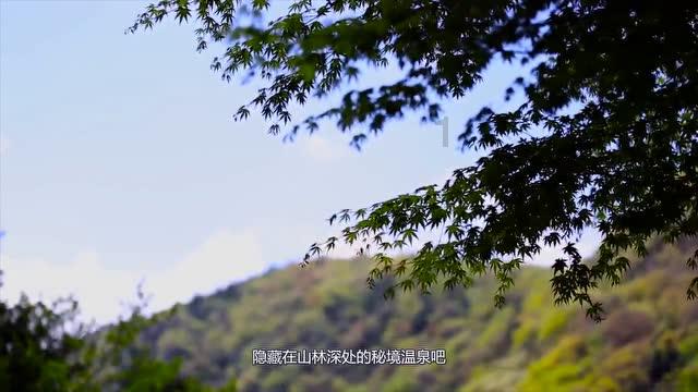 超魔晶猎人
