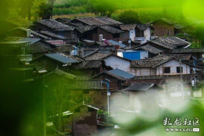 首部无番位作品诞生，鞠婧祎祝绪丹被打脸，杨幂赵丽颖新片抄作业