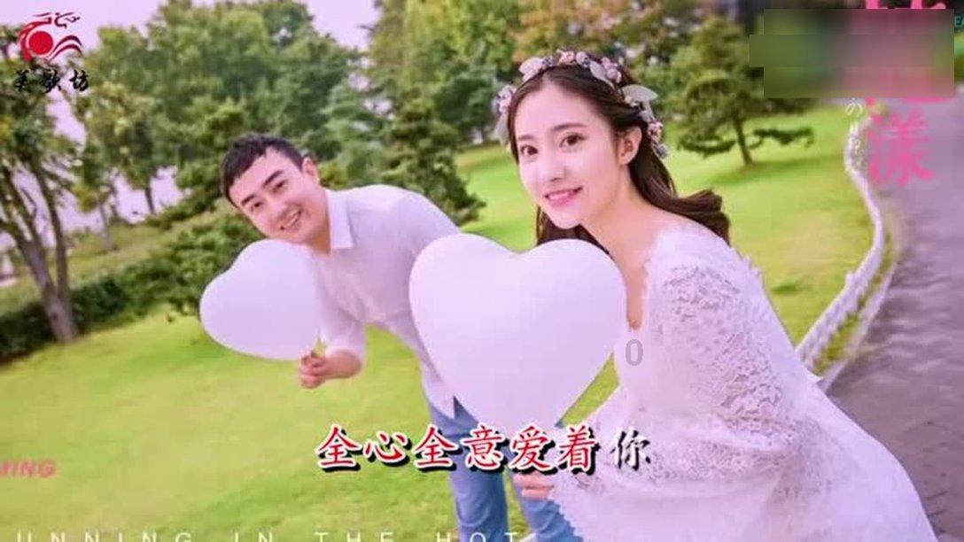 月季花有什么用途游戏画面