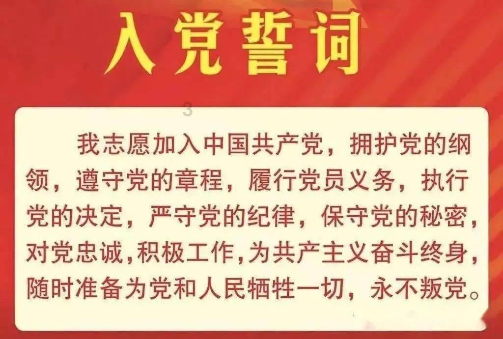 外貌和小老虎一样炫酷,大块头缅甸猫也有温柔的一面