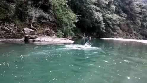救援呆萌的猫