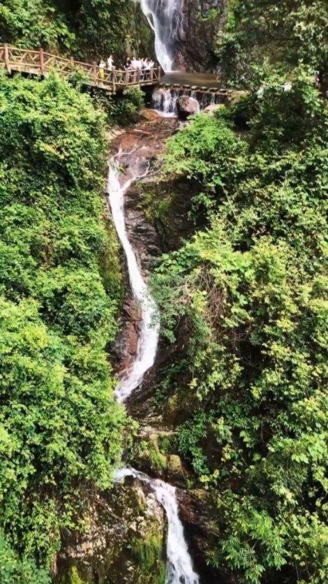 救援受困的火鸡