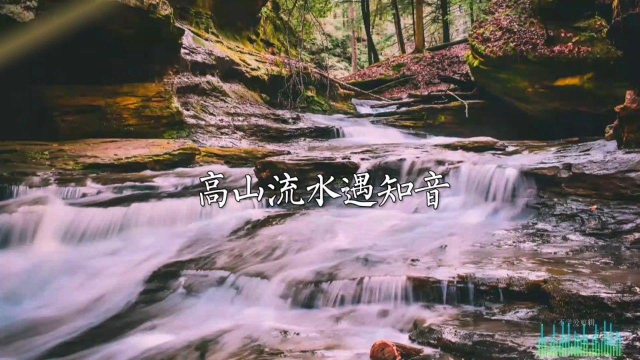 夏季的时尚女孩