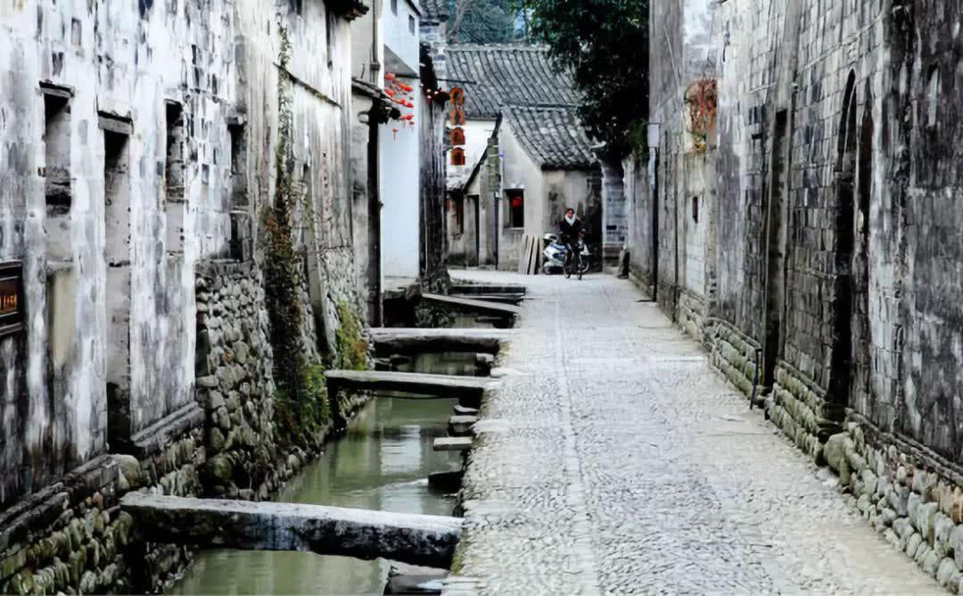 悲伤兔大冒险