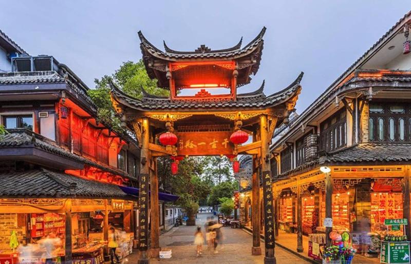 动物帮帮忙保卫家园