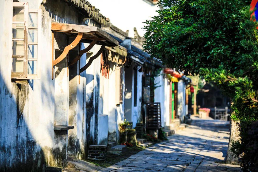 江苏太仓：“银发学堂”火热开讲 助力老人安全“入网”