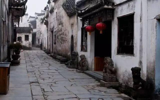 黑龙江回应南方游客希望提供小份菜,网友坐不住了:这是东北特色