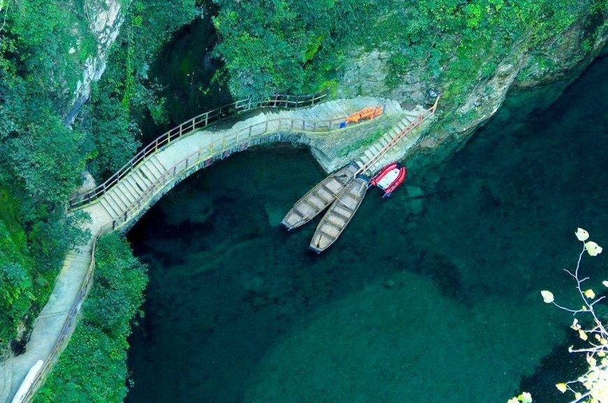 逗小猴开心系列205